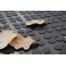 на фотографии резинового коврика лежат сухие листочки дуба