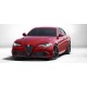 Alfa Romeo M11 2008-2014 для Защита двигателя и КПП Автобезопасность Защита двигателя и КПП Alfa Romeo Giulia 2016-...