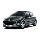 Накладки на пороги для Peugeot 207 2006-2012